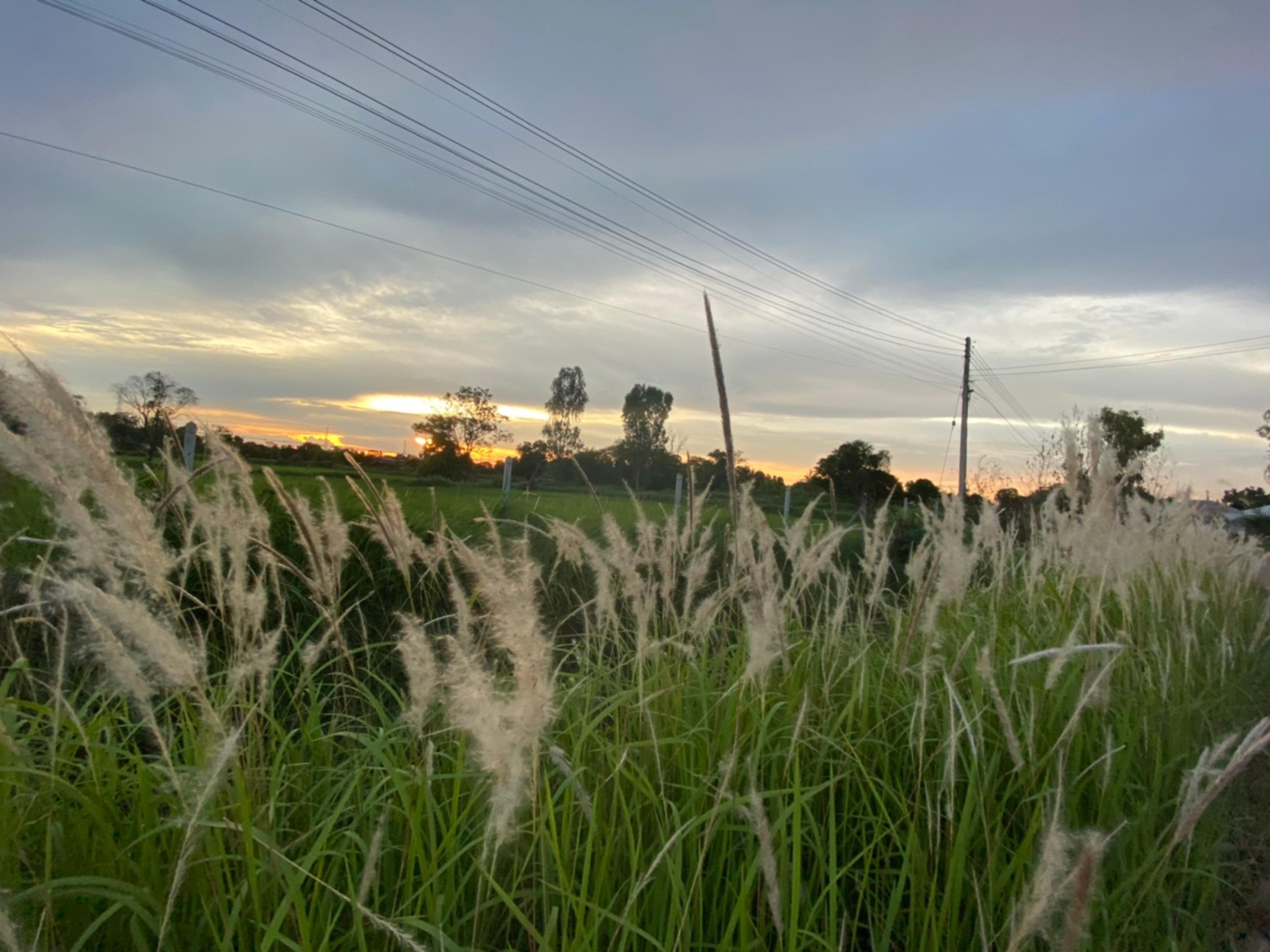Mayuree Resort Udon Thani Dış mekan fotoğraf