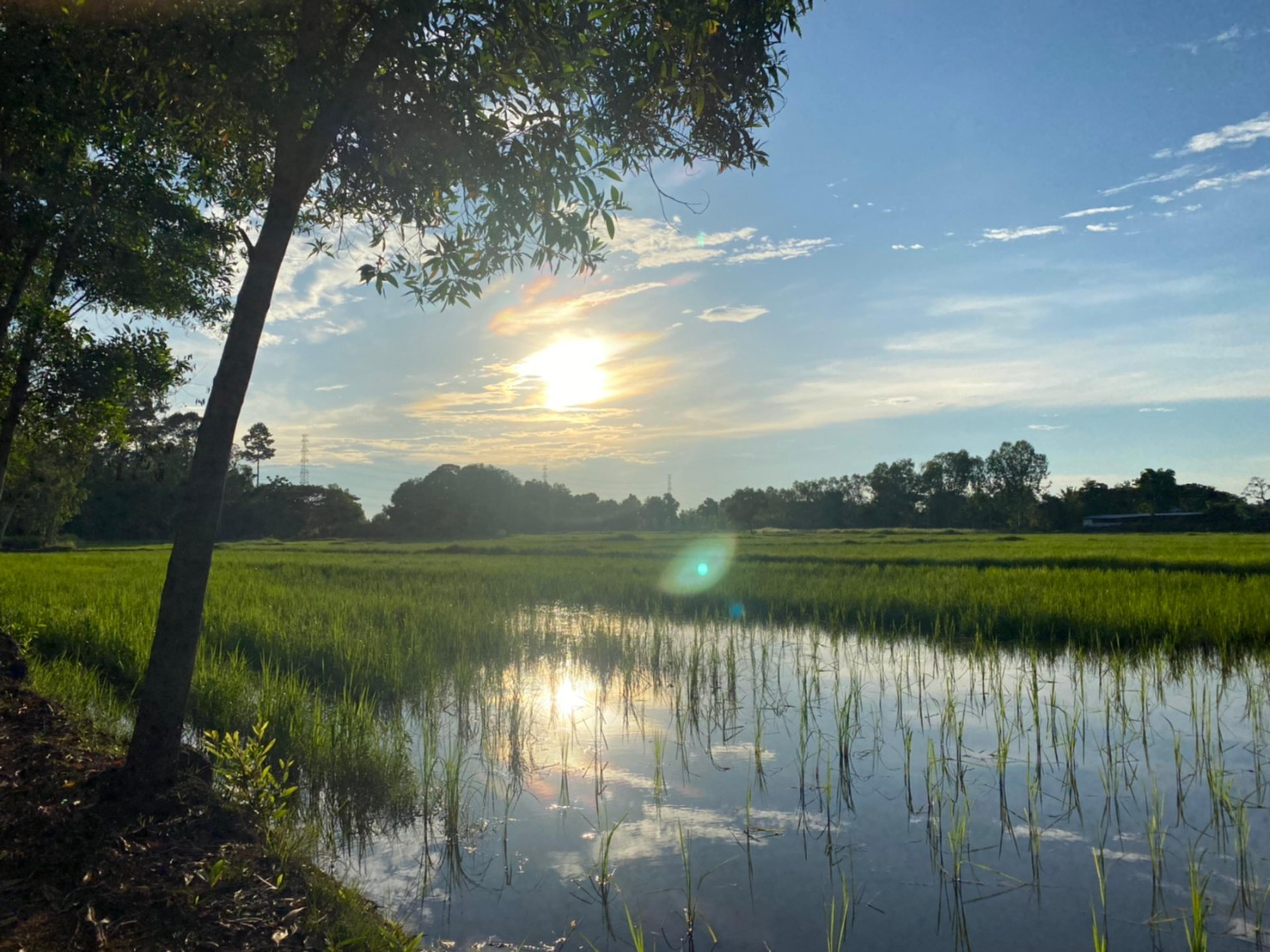 Mayuree Resort Udon Thani Dış mekan fotoğraf