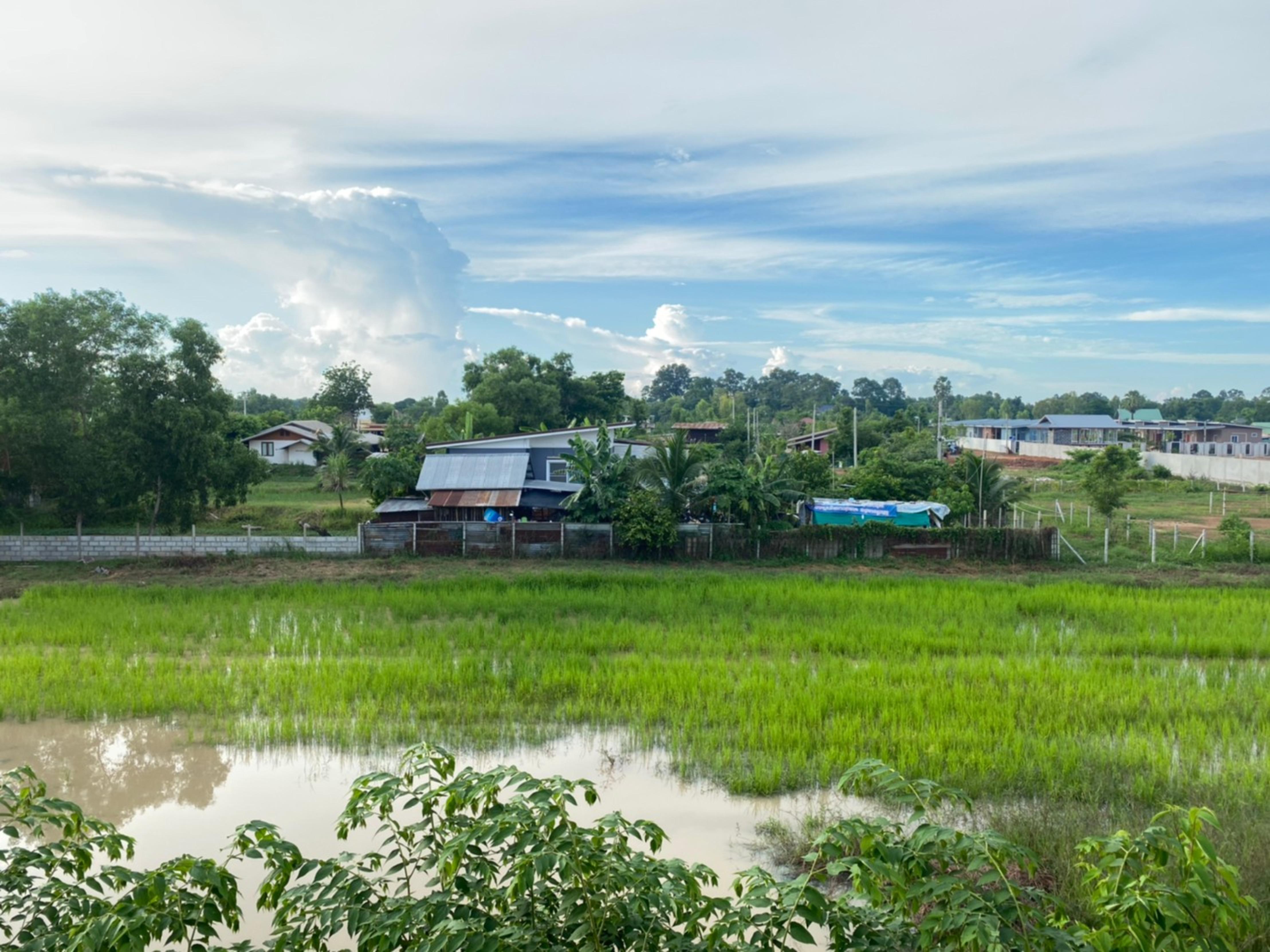 Mayuree Resort Udon Thani Dış mekan fotoğraf